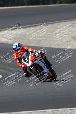 media/Sep-21-2025-TrackDaz (Sun) [[277c75b276]]/B Group/1120am (Turn 3)/
